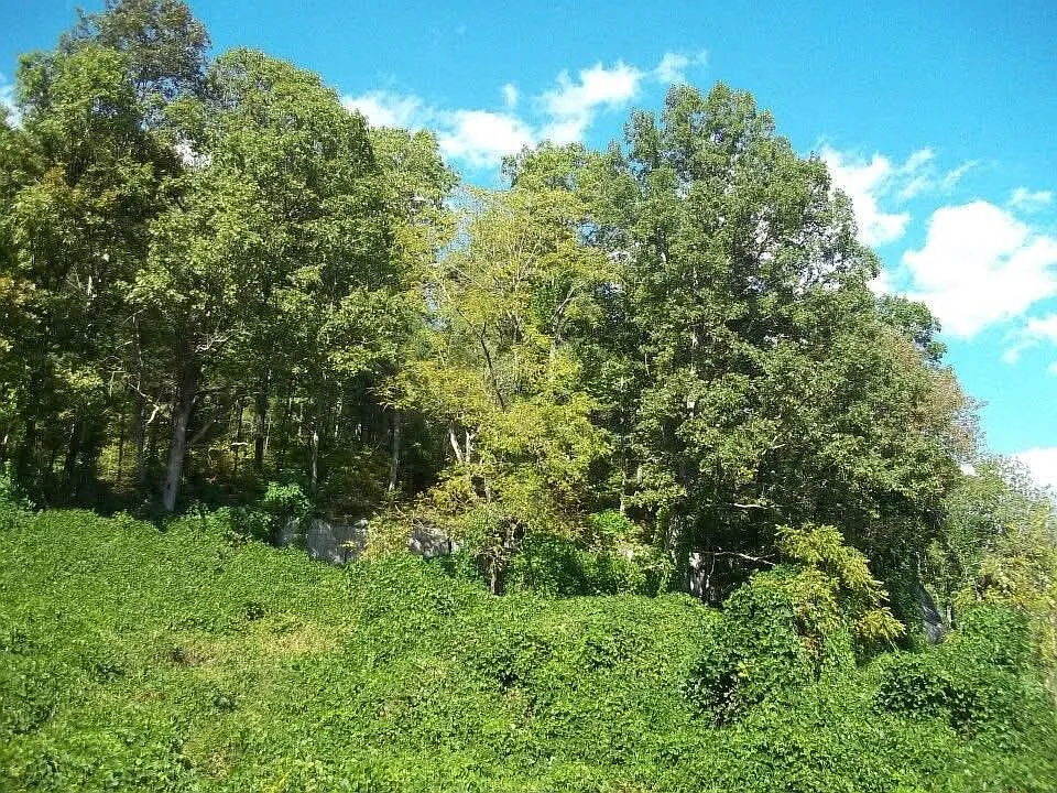 Secluded 65-Acre Wilderness Retreat in Dewitt, Kentucky
