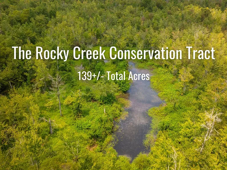 Scenic Creekside Conservation Retreat in Macon, Georgia
