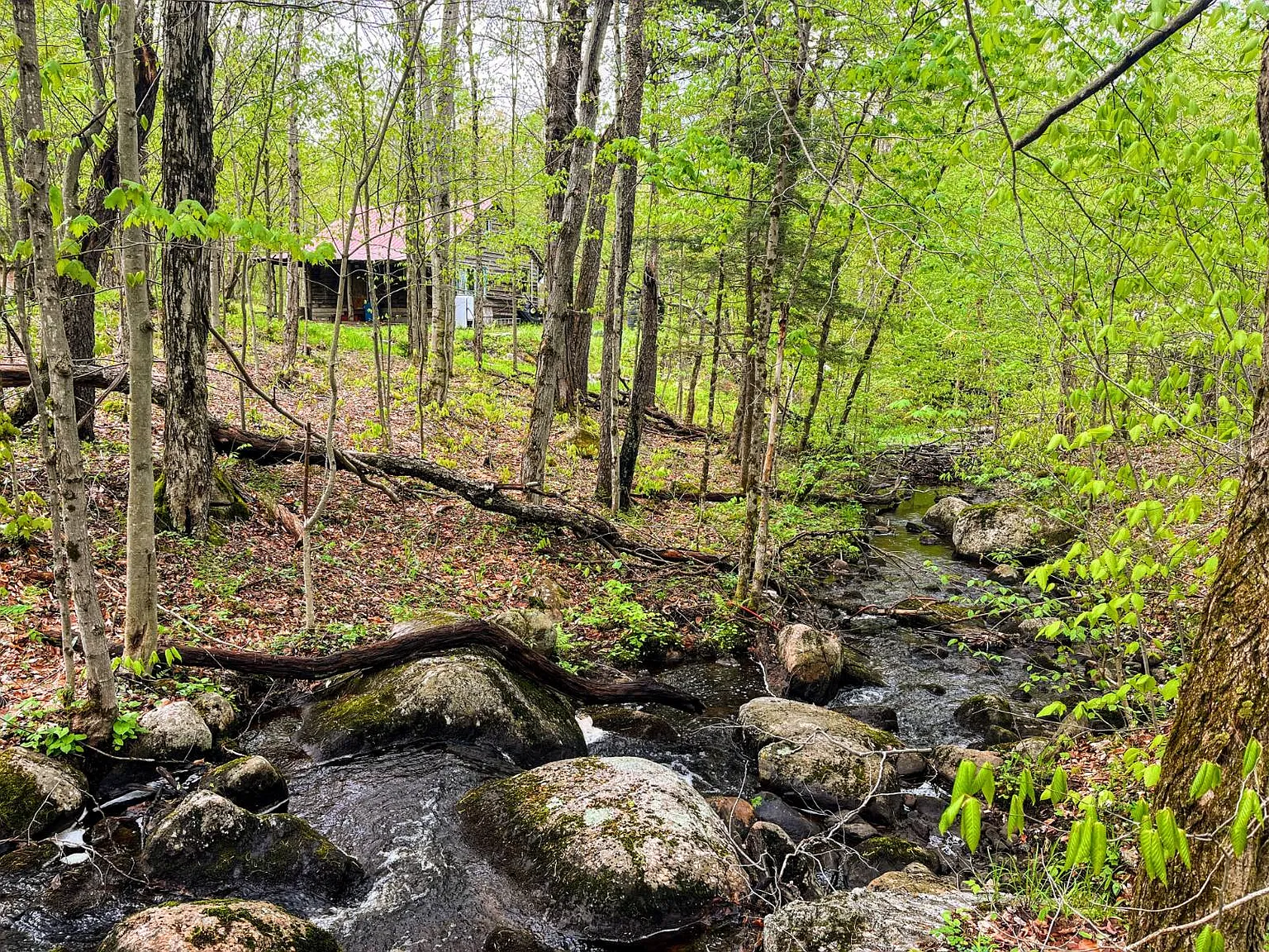 No Neighbors, Just Nature