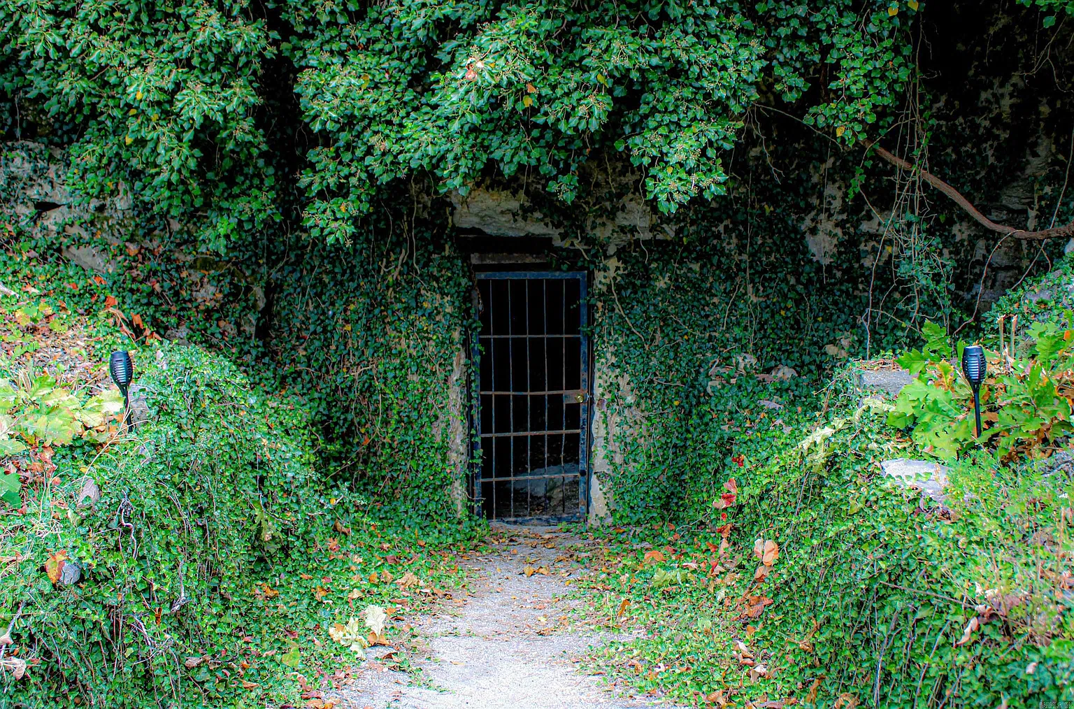 The Incredible Shawnee Cave Retreat in Arkansas