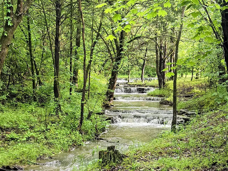 Secluded Tennessee Paradise with Scenic Waterfalls, Creek & Private Pond
